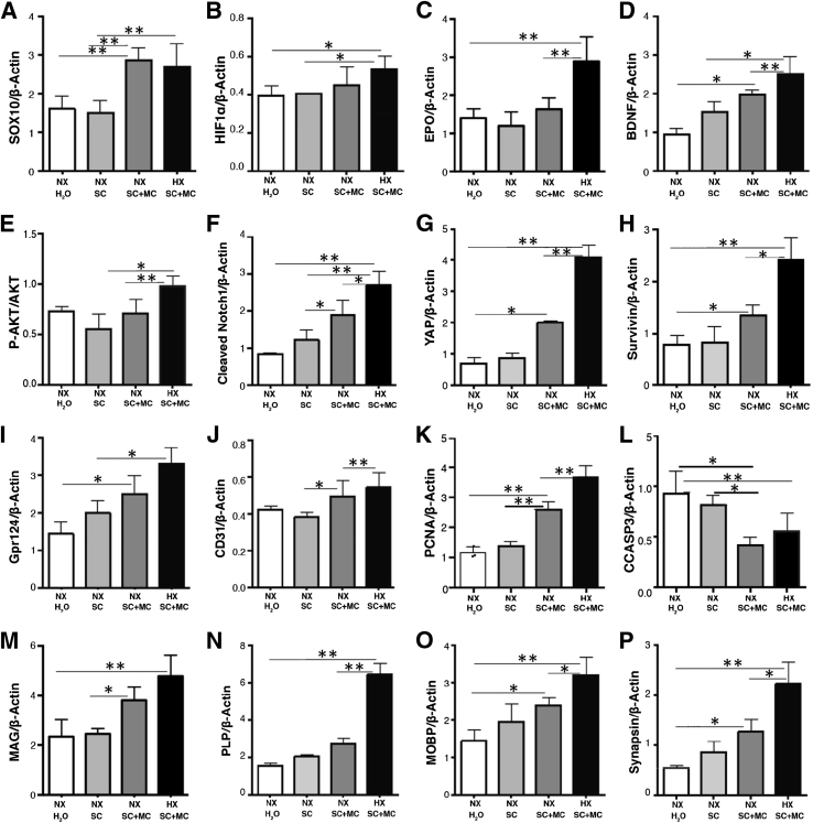 Figure 2