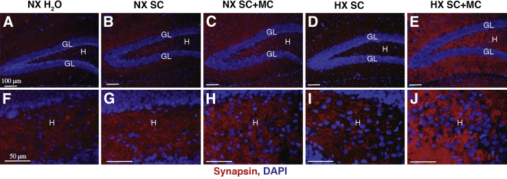 Figure 6