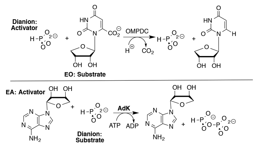 Scheme 2.