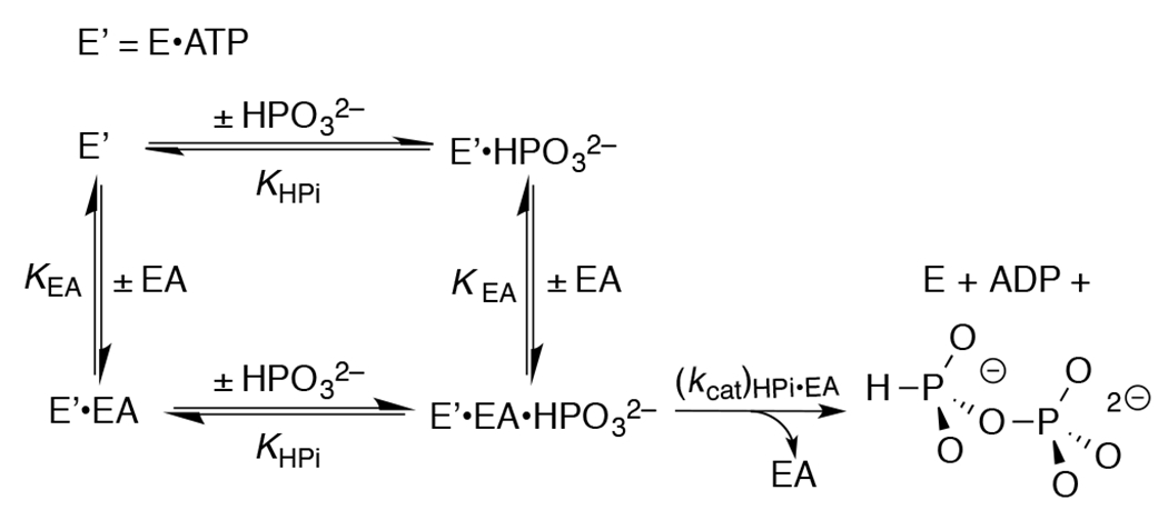 Scheme 4.