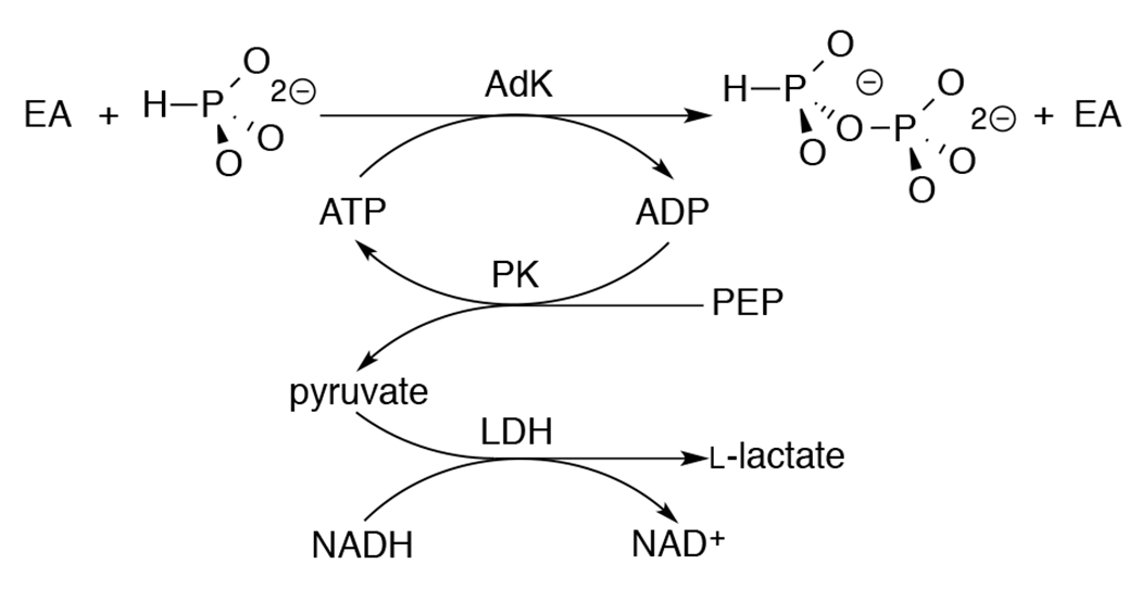 Scheme 3.