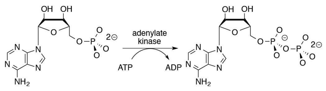 Scheme 1.