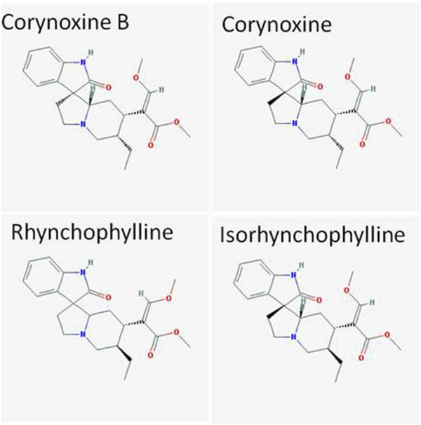 FIGURE 1