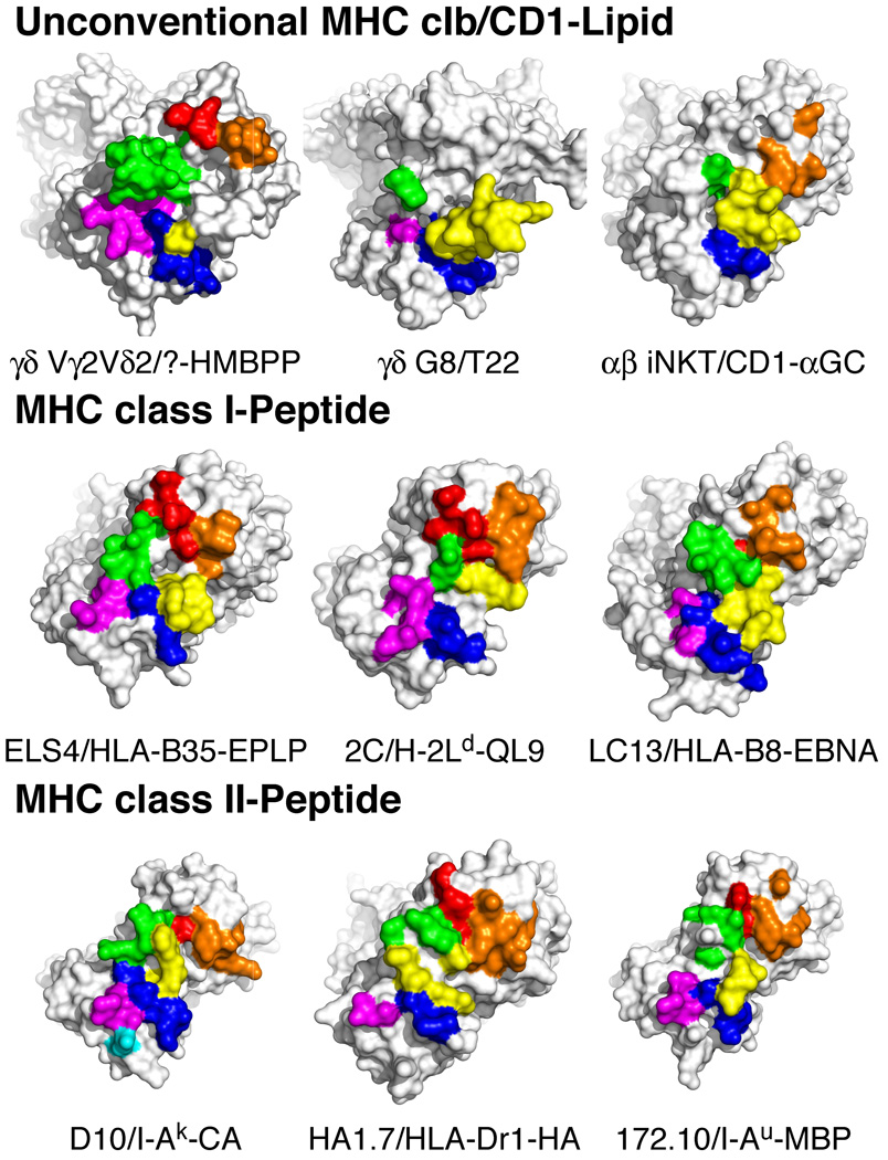 FIGURE 6