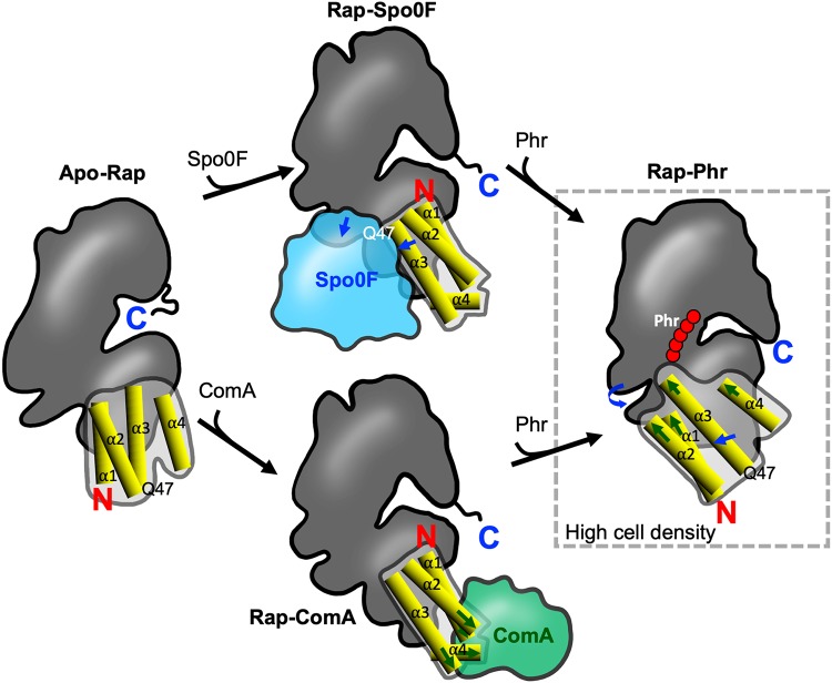 FIG 2