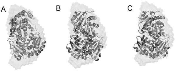 Figure 10