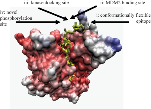 FIGURE 11.