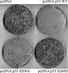 FIGURE 10.