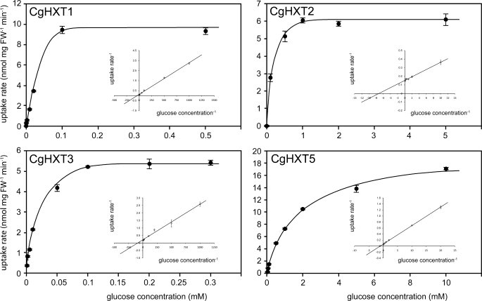 FIGURE 5.