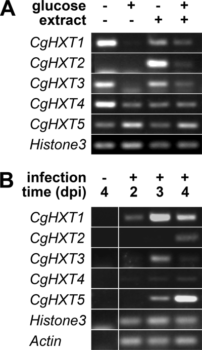 FIGURE 7.