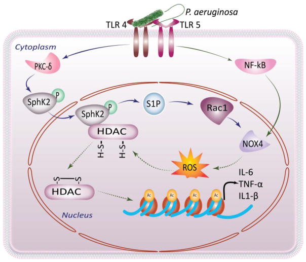 Fig 4