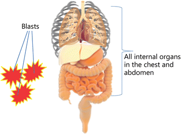 Fig. 11