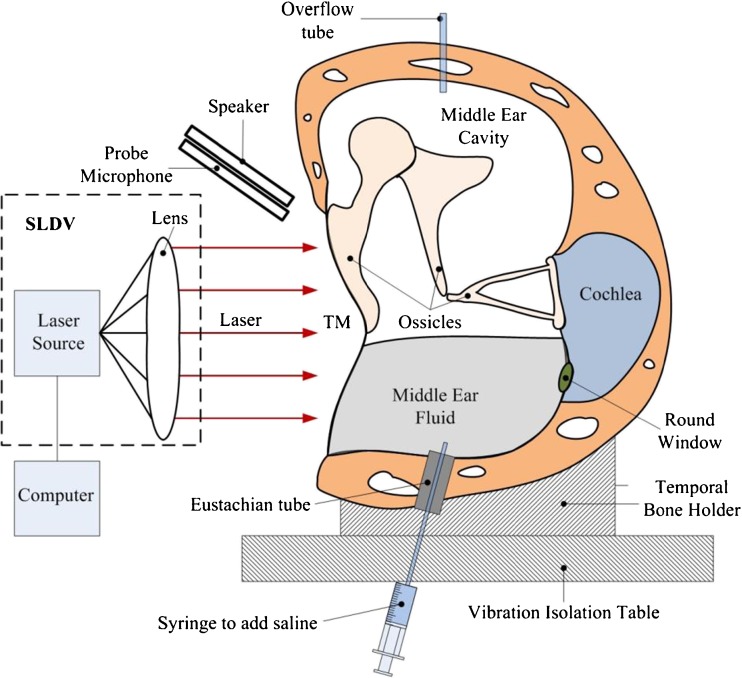 FIG. 1