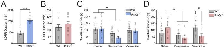 Figure 3 –