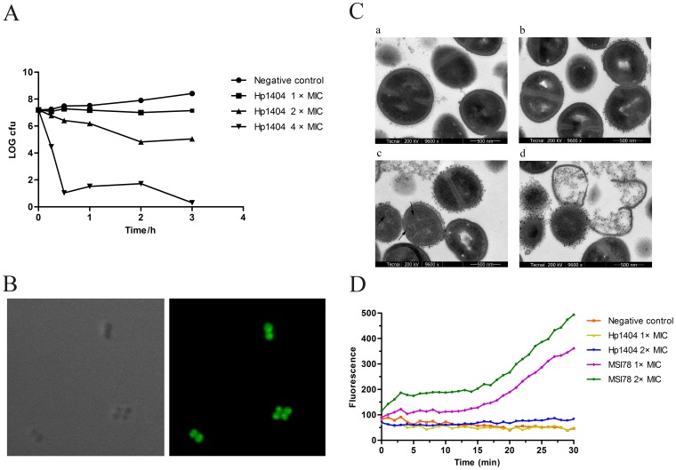 Figure 2