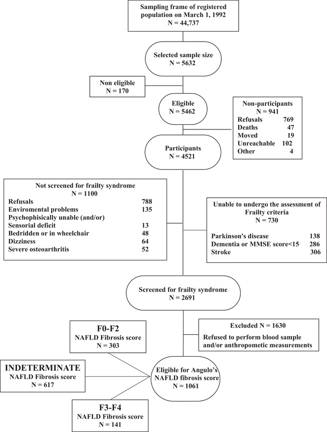 FIGURE 1