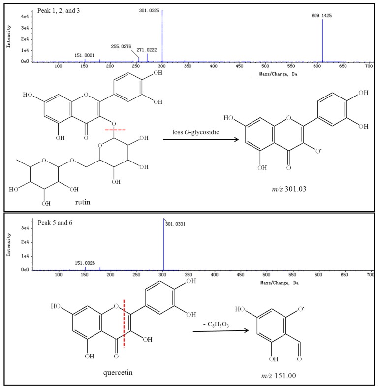 Figure 13