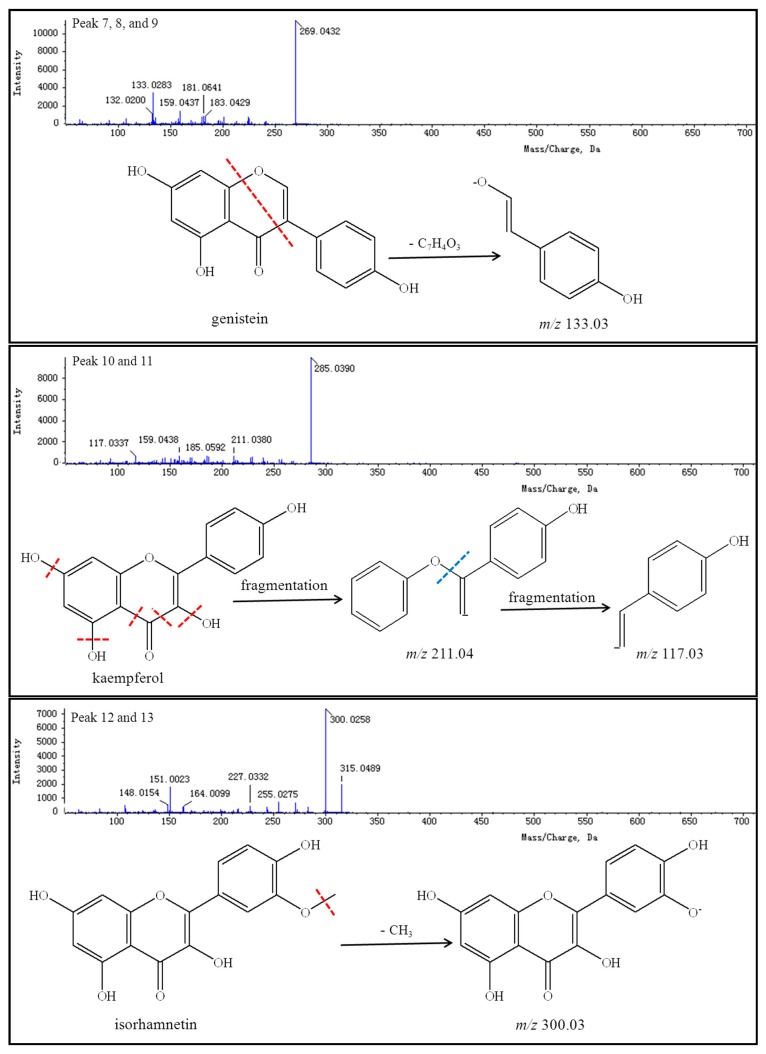 Figure 13