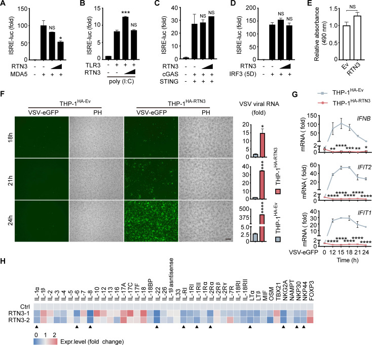 Figure 2—figure supplement 1.