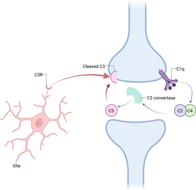 Fig. 3