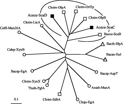 FIG. 5.