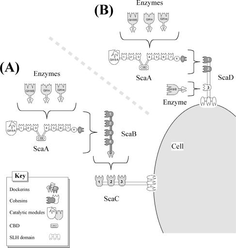 FIG. 6.