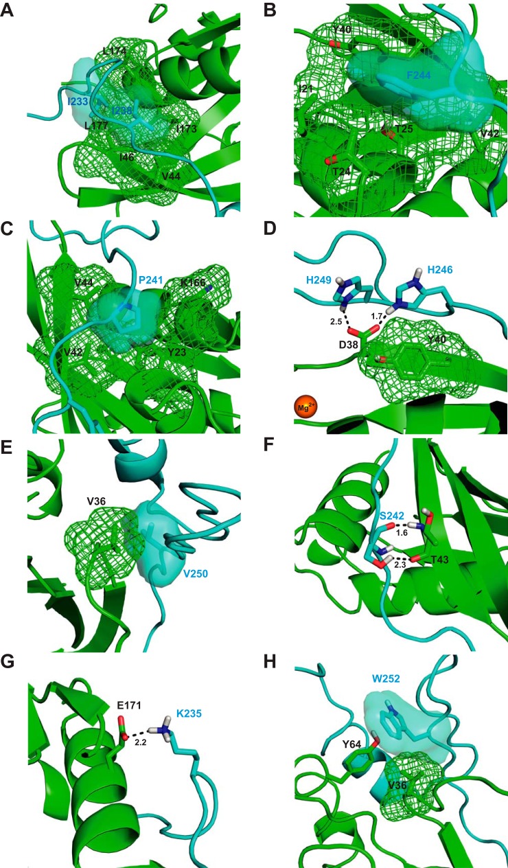 Figure 3.