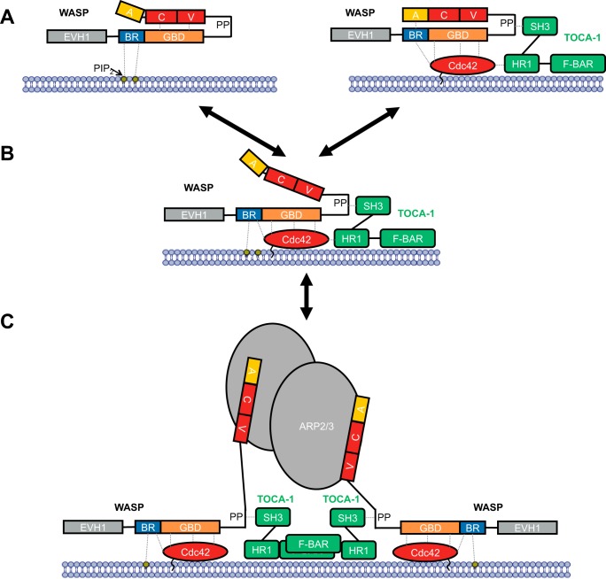 Figure 9.