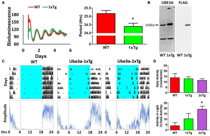 FIGURE 6