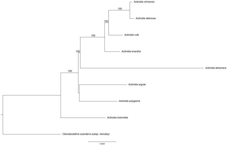 Figure 1.