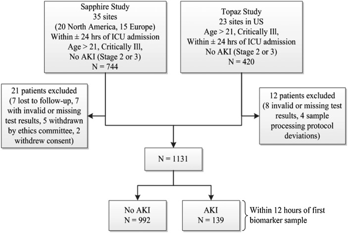 FIGURE 1: