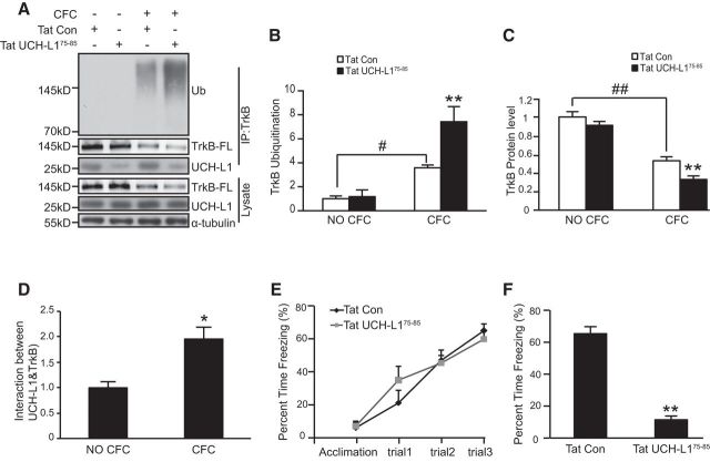 Figure 10.