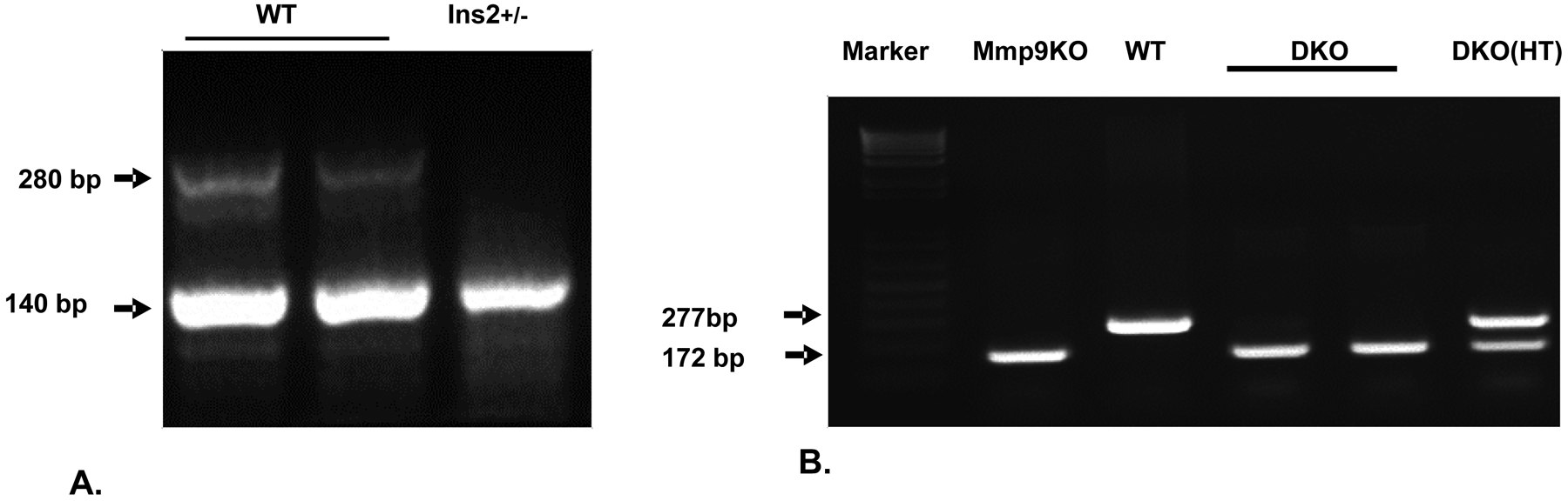 Figure 3: