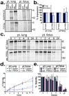 Figure 6: