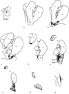 Fig. 8