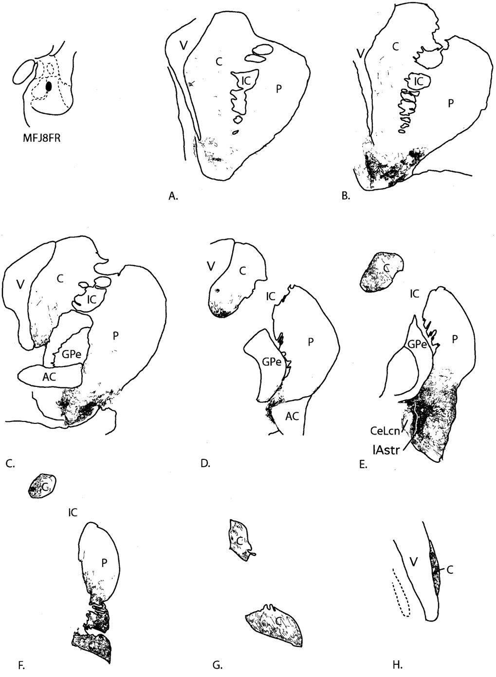 Fig. 8