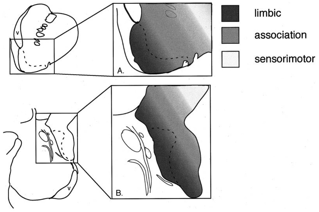 Fig. 11