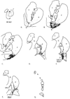 Fig. 10