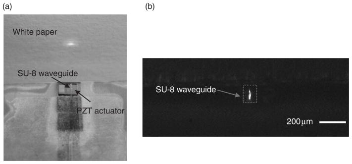 Figure 15