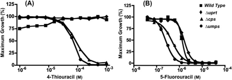 FIGURE 9.