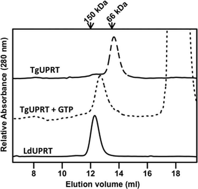 FIGURE 5.