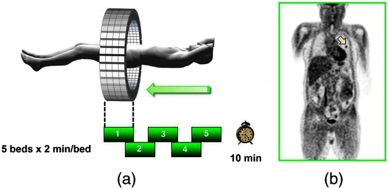 Fig. 8