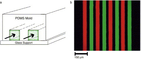 Fig. 16