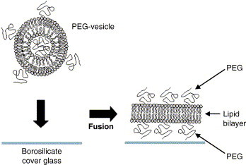 Fig. 7