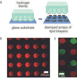 Fig. 14