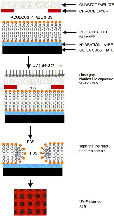 Fig. 12