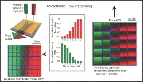 Fig. 15