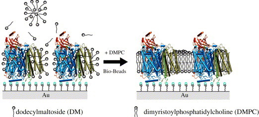 Fig. 10