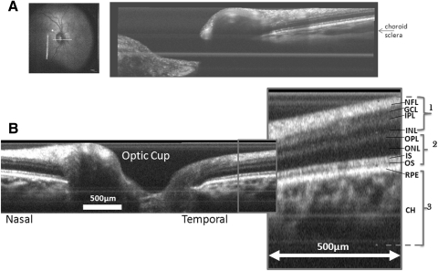 Figure 3.