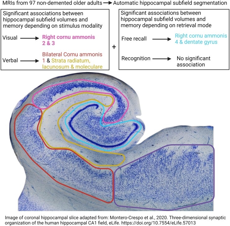 Graphical Abstract